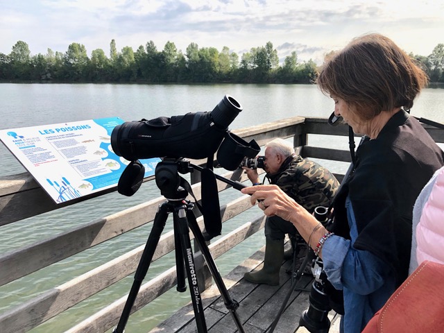 Comptage des oiseaux au lac de Saint-Point